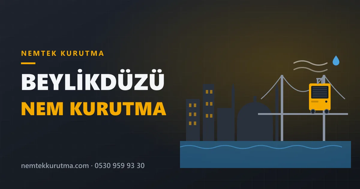 Beylikdüzü nem kurutma